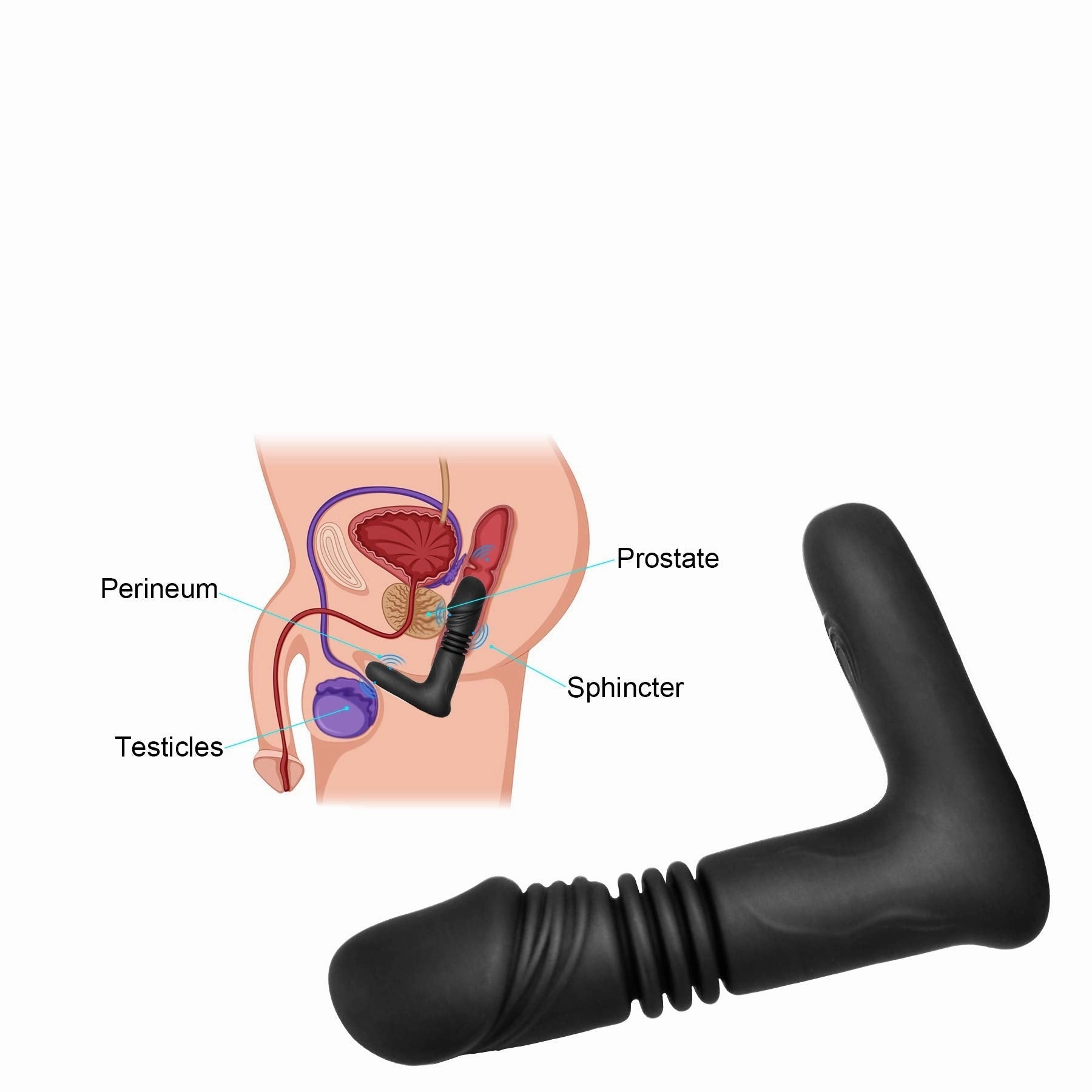 APP Control Thrusting Dildo Vibrator