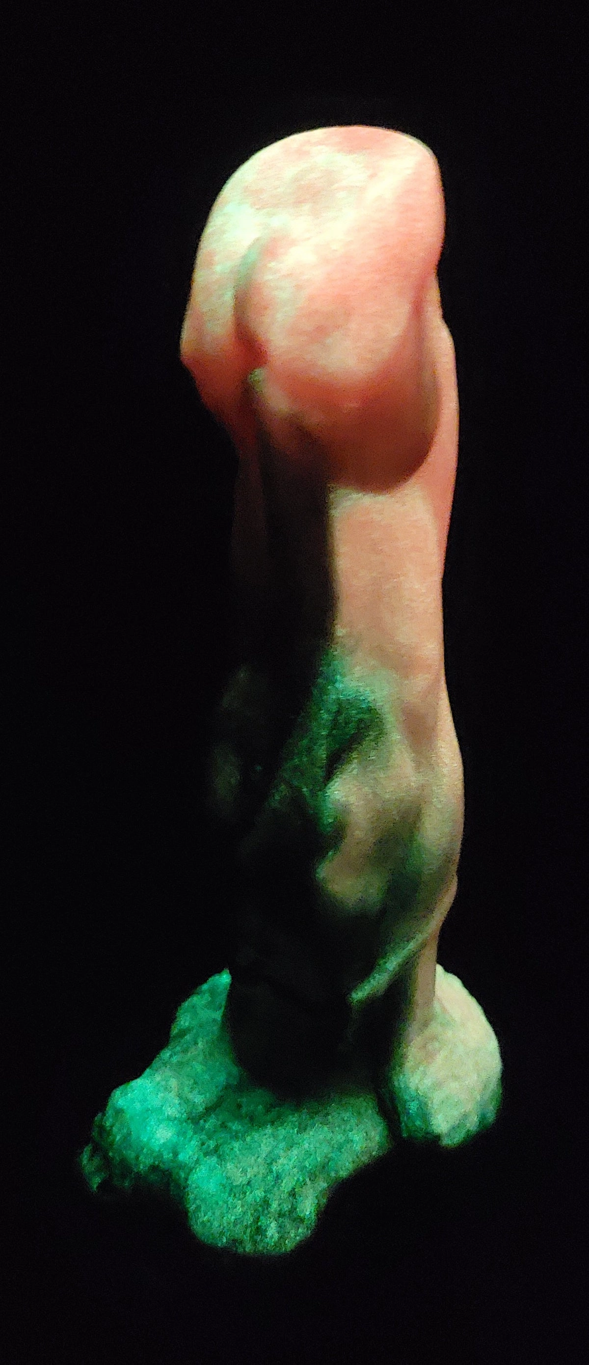 Brawn - UV/GITD Soft silicone - BR-556