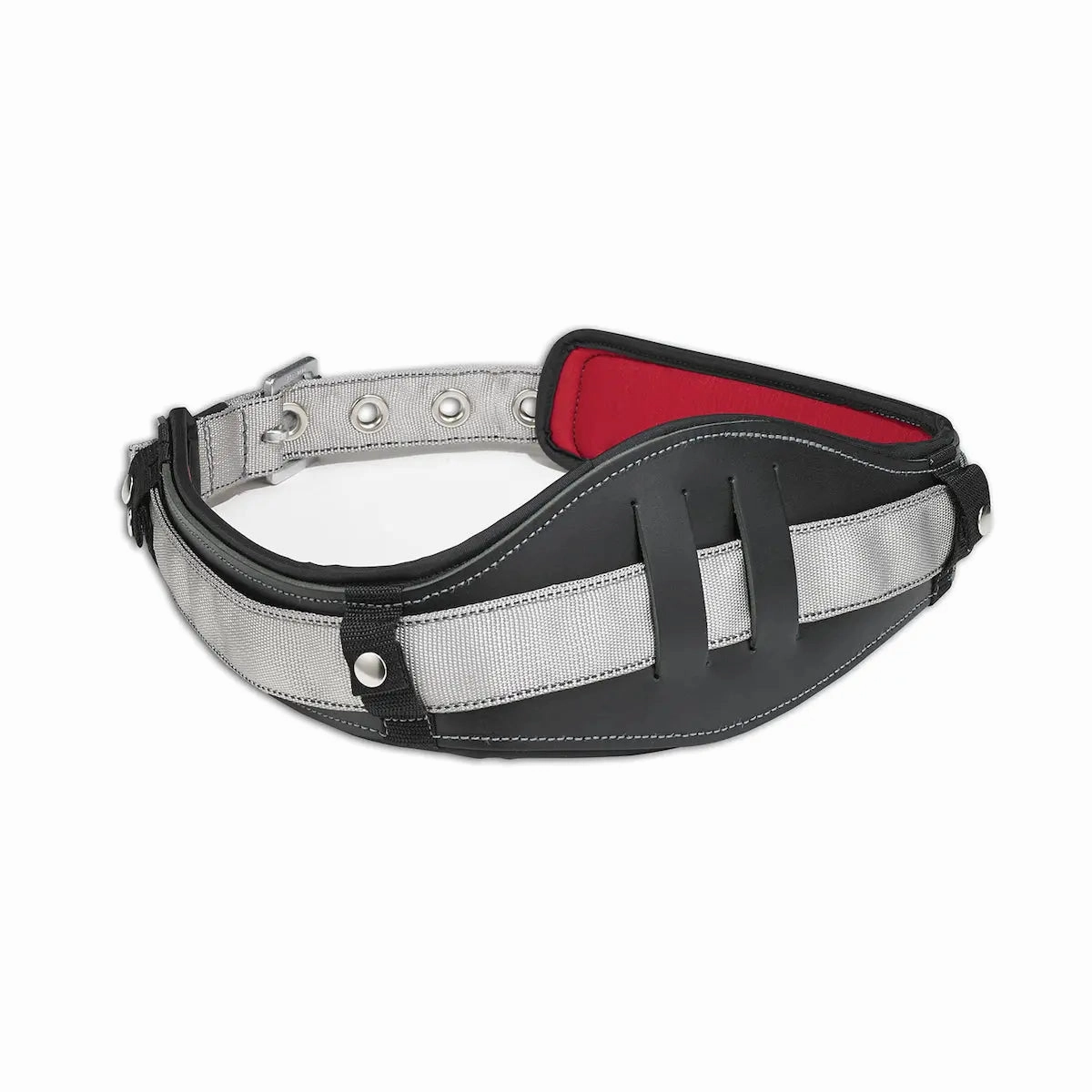 Dynamic Safety FP5501 - LUMBAR SUPPORT DELUXE MOULDED XXL