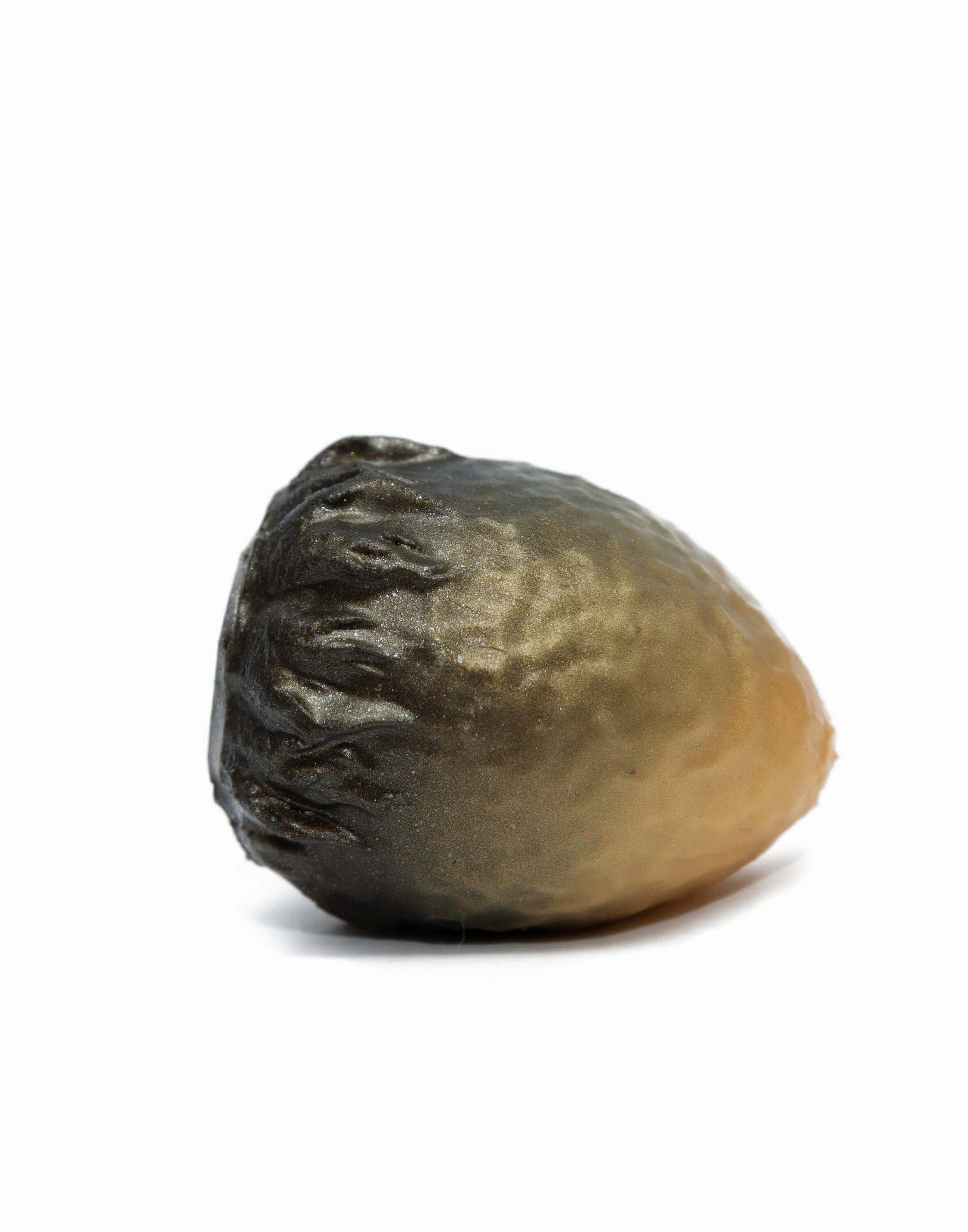 Gryphon Style Kegel Egg