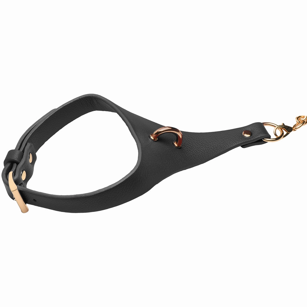 Master Series Captivate Collar with Body Chain in Black
