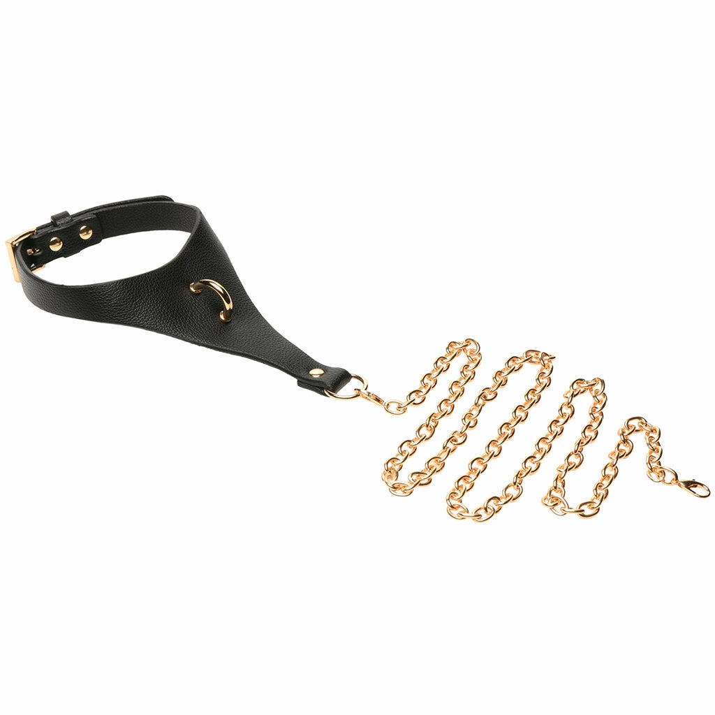 Master Series Captivate Collar with Body Chain in Black