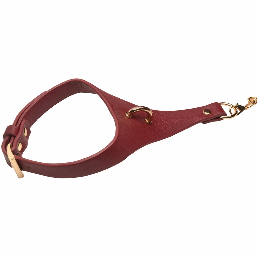 Master Series Captivate Collar with Body Chain in Red