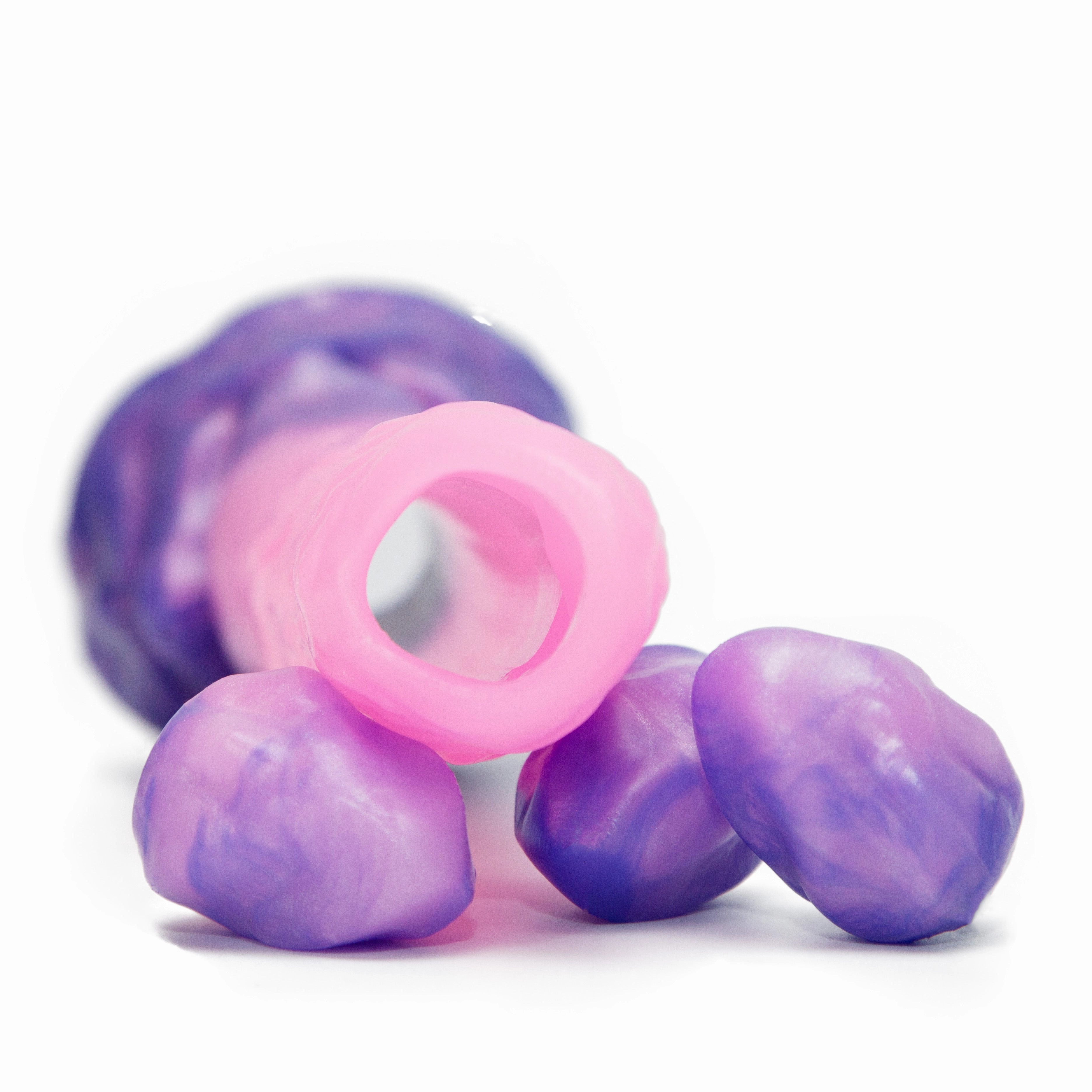 Min the Egg Layer Ovipositor with Eggs Clutch