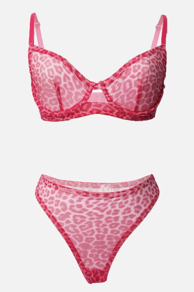 Pink Mesh Lingerie Set