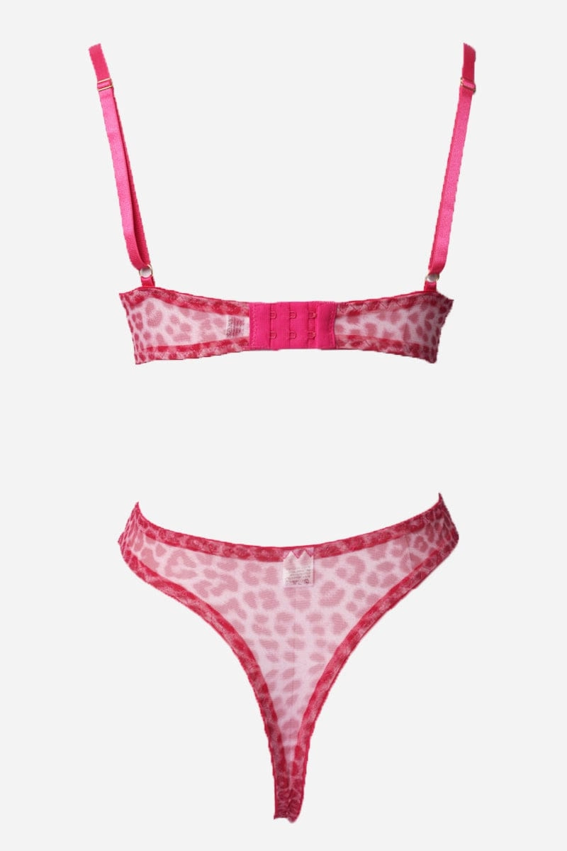 Pink Mesh Lingerie Set