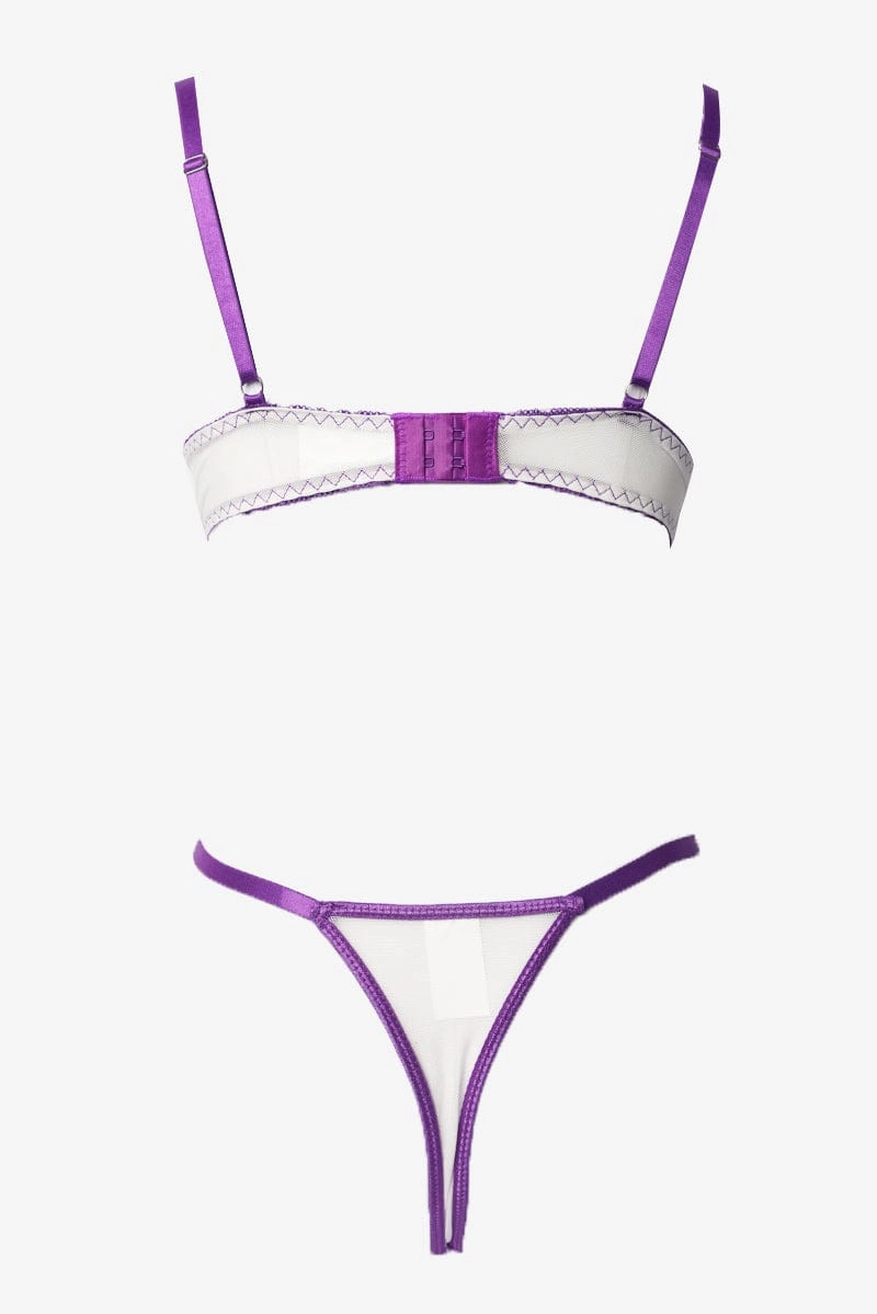 Purple Embroidery Lingerie Set