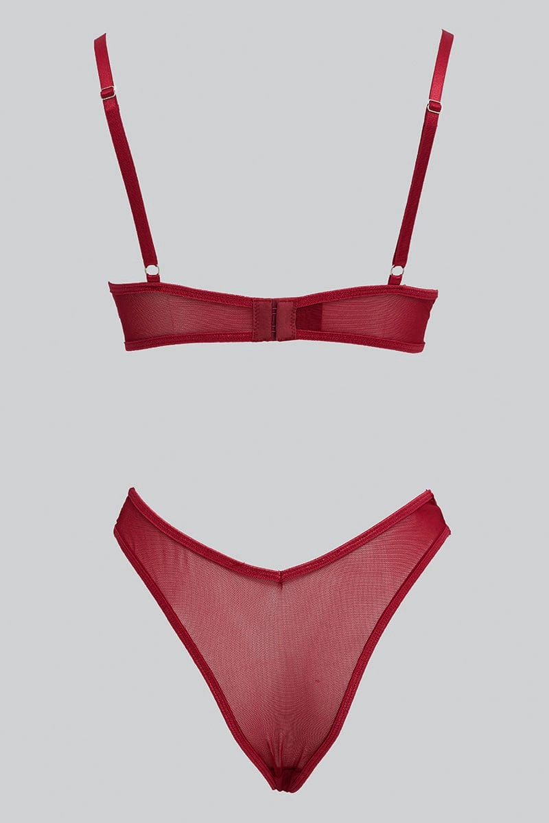 Red Embroidered Lingerie Set