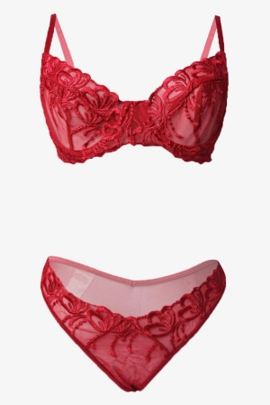 Red Embroidery Lingerie Set