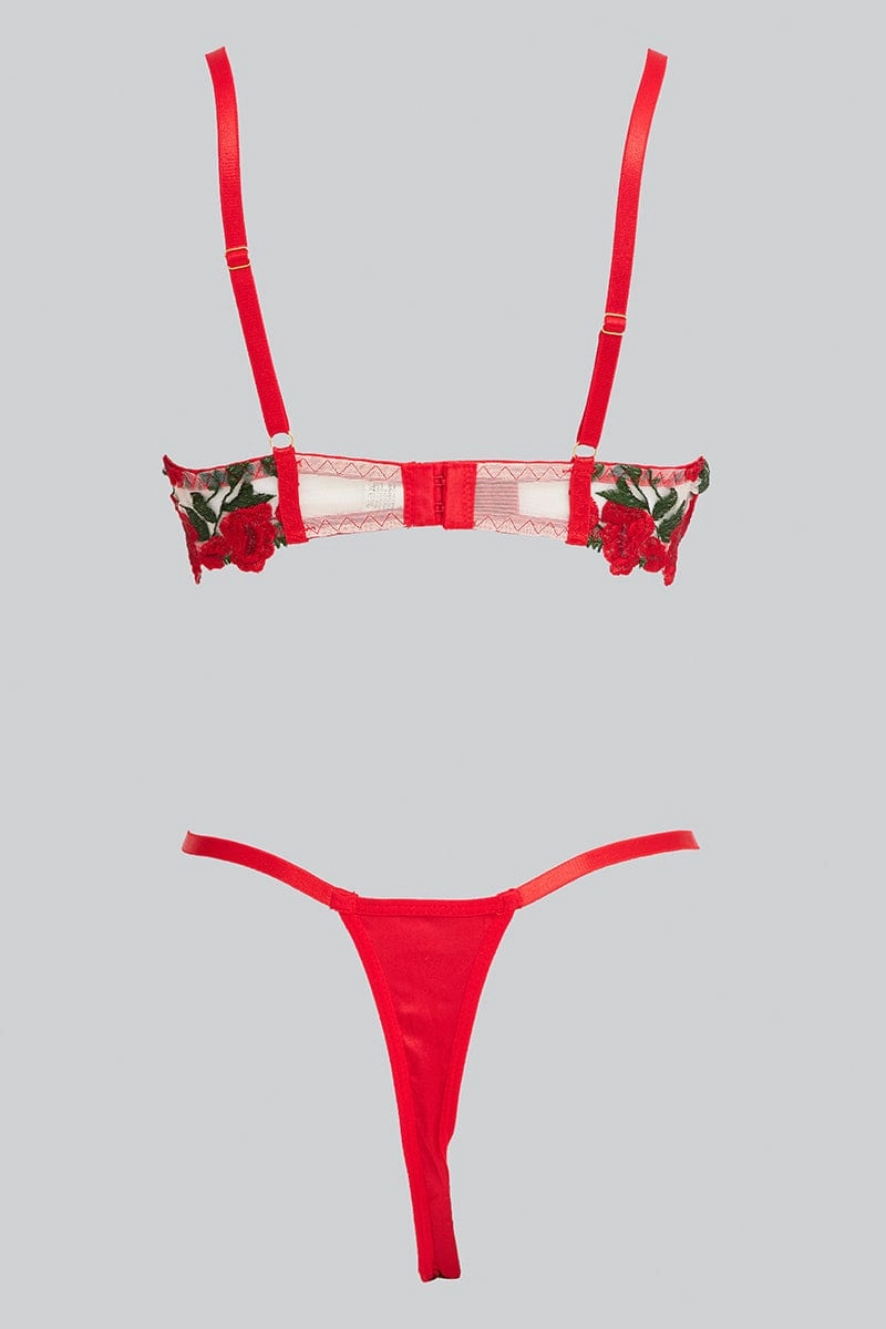 Red Rose Embroidered Trim Lingerie Set