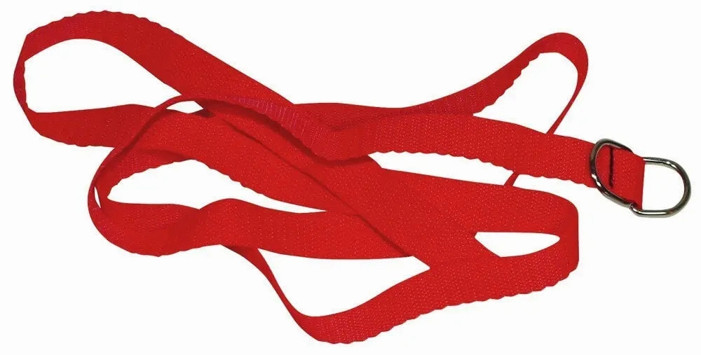 Red Giant from Bad Kitty - Beginner Bondage set