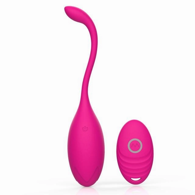Remote Control Vibrator
