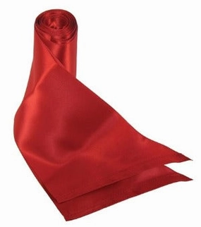 Silky Sash Restraints in Red