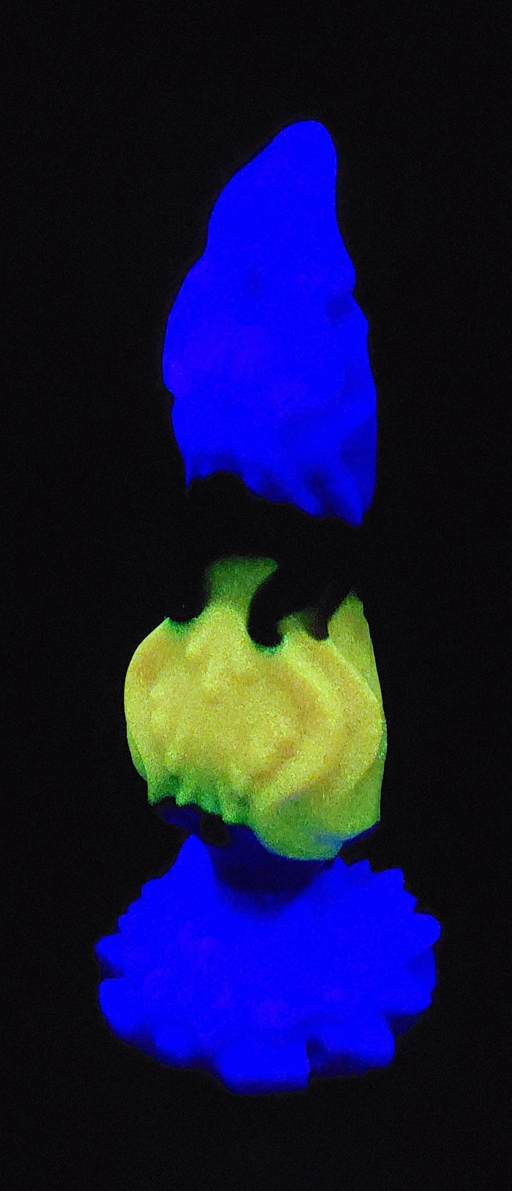Tygan - GITD Soft silicone - TY-515