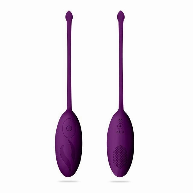 Vibrator egg