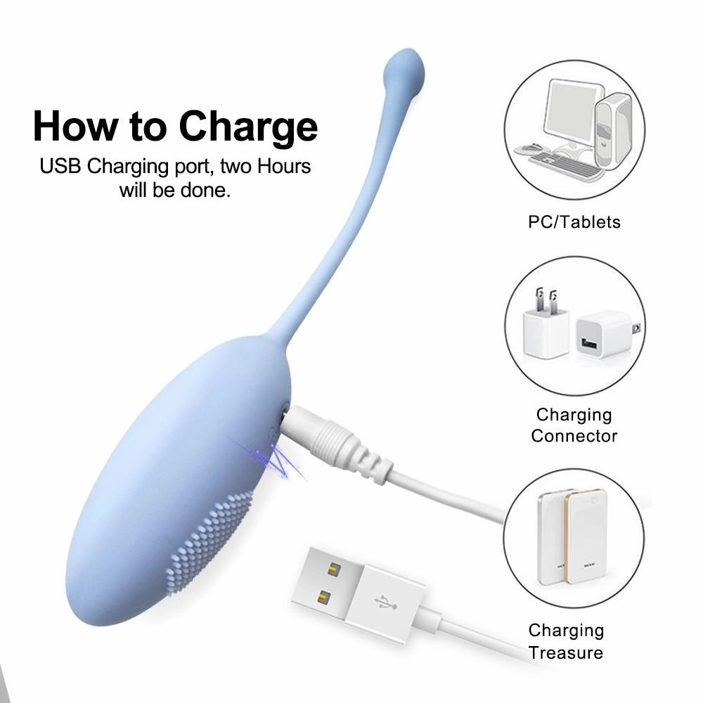 Vibrator egg