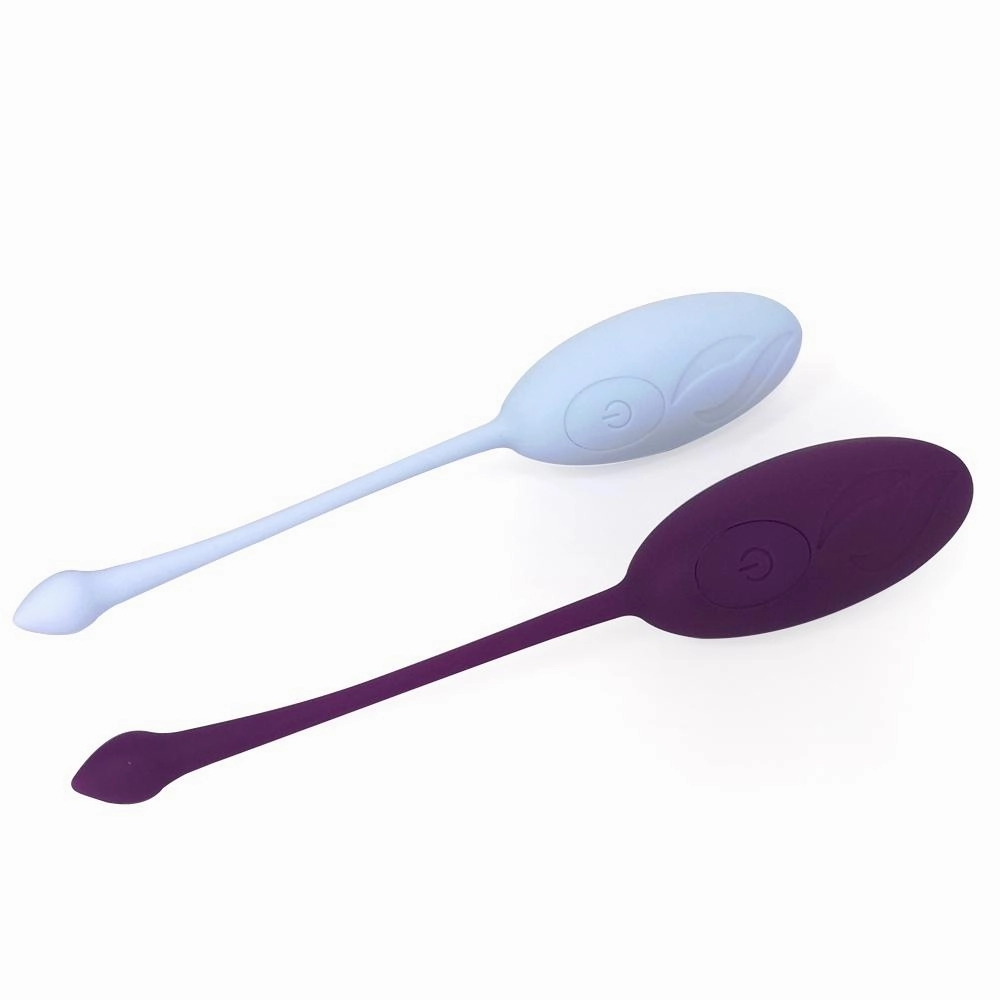 Vibrator egg