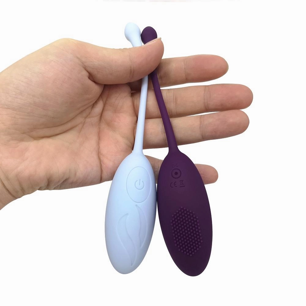 Vibrator egg