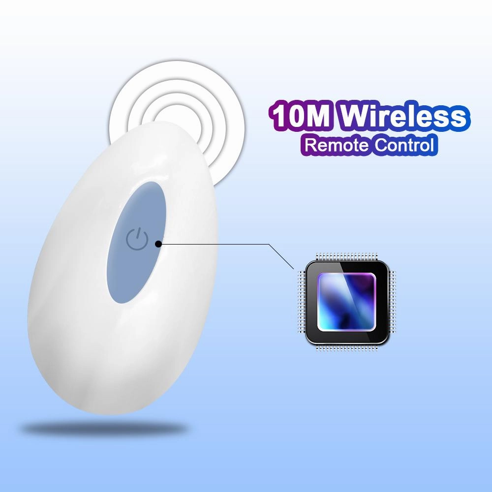 Vibrator egg
