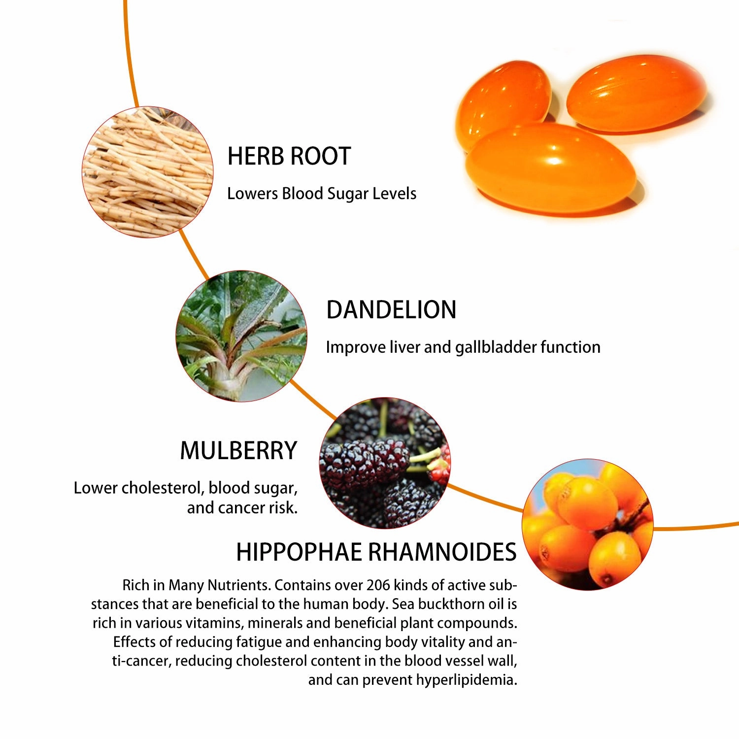 XmyBox Pumpkin Seed Oil - PREORDER